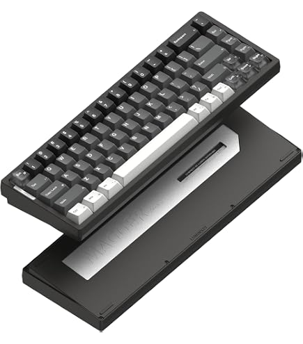 Amazon.com: LUMINKEY Magger 68 HE Gaming Keyboard Ultra - Ano